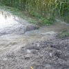 Hochwasser 2010